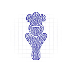 Poster - Chef of kitchen with hat. Kitchen logo, man icon. Hand drawn sketched picture with scribble fill. Blue ink. Doodle on white background