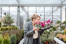 Smiling Woman With Pansies In Flower Shop