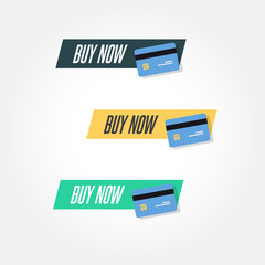 Wall Mural - Buy Now Credit Card Icon Vector Label Set