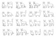 © Marina Tab - Cat breeds full face and profile. Vector black white pets set contour sketch isolated illustration.