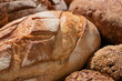 close up view of fresh baked brown and white bread