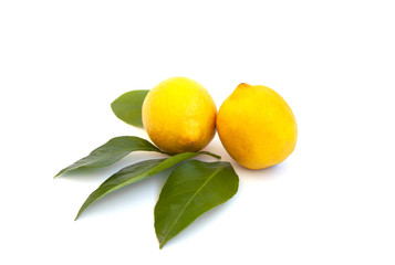 Wall Mural - lemons with leaves on a white empty background.