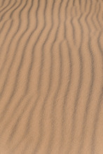 Waves Of Traces Of Wind On Sand In Desert.