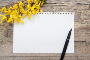 A blank sheet of notepad for notes. Spring branches and pen. Mock up for text