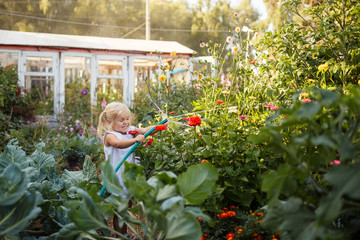 Wall Mural - girl child in the garden watering plants, a small gardener, summer in the village