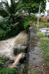 Wall Mural - water contaminated by sewage