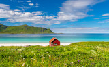 Fototapeta  - Small red hut on a beach in summer in Lofoten Islands Norway