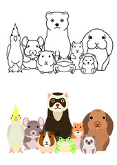 Wall Mural - cute cartoon pet animals group set, full body