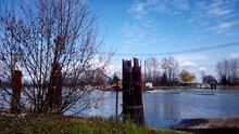 Timelapse Of A Ferry Boat Transporting Vehicles And People Across The Fraser River On A Bright Spring Day