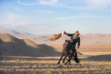 Kazakh Eagle Hunter After Winning A Traditional Wrestling Match. Two Wrestlers On Horseback Start Pulling On A Sheep Skin, The One Who Retrieves It, Is The Winner. Ulgii, Mongolia.