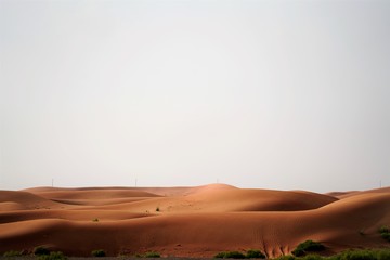 Wall Mural - desert landscape in the desert in high resolution