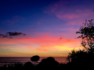 Wall Mural - Sunset on the beach, silhouette of palm tree in ocean.