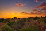 Fototapeta Sawanna - Sunrise in the countryside of Pula Sardinia Italy