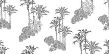 Palm Trees Wallpaper, Isolated Groups Of Jungle Plants Lithograph Grey On White Background, Hand Drawn Etching Tropical Illustration