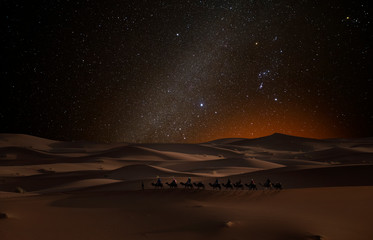 Wall Mural - camel caravan in the desert under the stars