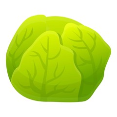 Poster - Cabbage icon. Cartoon of cabbage vector icon for web design isolated on white background