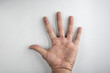 © Ruslan Dgeilan - Hands isolate, set of human hands showing gesture isolate on white background with clipping path, Low contrast for retouching or graphic design.