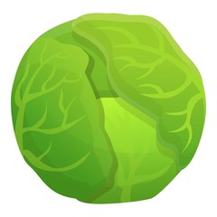 Poster - Cooking cabbage icon. Cartoon of cooking cabbage vector icon for web design isolated on white background