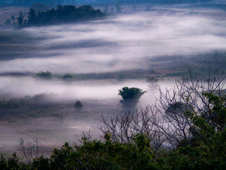 Wall Mural - Fog in The Mountain before Morning  on The Ground