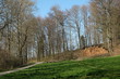 Grüne Wiese am Waldrand mit gestapeltem Holz im Frühling bei Sonnenschein in Oerlinghausen bei Bielefeld am Hermannsweg im Teutoburger Wald in Ostwestfalen-Lippe