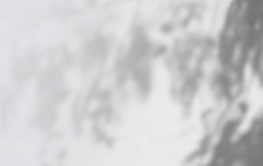 Wall Mural - abstract shadows, blurred background of gray leaves and natural trees that reflect concrete walls, f