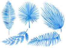 Set Of Blue Tropical Leaves. Jungle, Botanical Watercolor Illustrations, Floral Elements, Palm Leaves, Fern And Others. Hand Drawn Watercolor Set Of Leaves And Home Plant