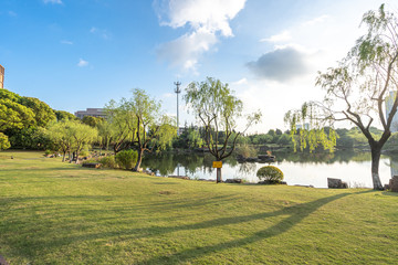 road in park