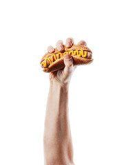 Wall Mural - classic american hot dog in hand