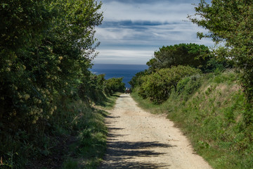 The Channel Islands in summer with good weather and greenery