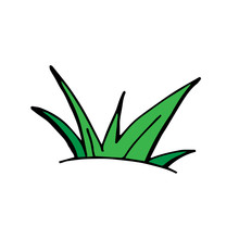 Green Juicy Grass On A White Background. Vector Doodle