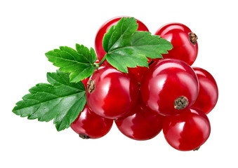 Canvas Print - Red currant isolated. Currant red with leaves on white background. With clipping path. Currants on branch.