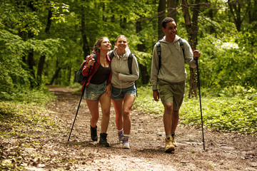 Group of friends hiking in nature.They walking trough forest and meadows.	
