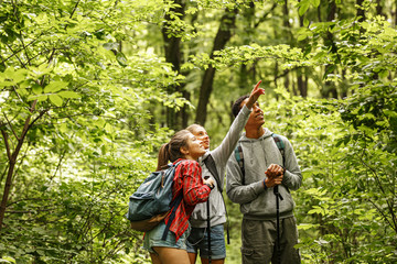 group of young people hiking trough forest.