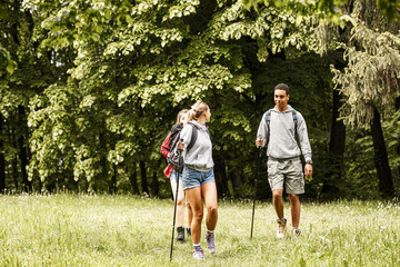 Wall Mural - group of friends hiking in nature.they walking trough forest and meadows.