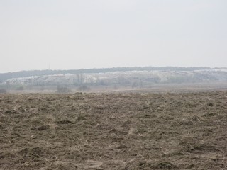 Canvas Print - plowed field in spring