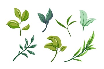 Wall Mural - Set of green leaves. Design elements for card, invitation, logo.