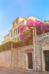 Wall Mural - Stone gate in Old city of Dubrovnik summer