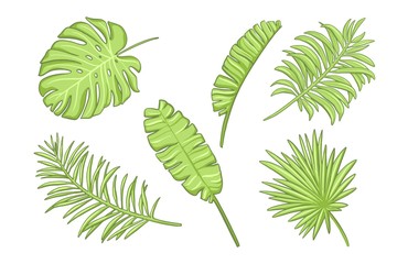 Wall Mural - Set of green exotic leaves. Design elements in cartoon style