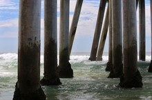 Pier Posts On The Ocean Floor 