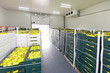 Green Peppers Pallets Warehouse