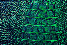 Dark Alligator Patterned Background, Green Color. Reptile Skin.