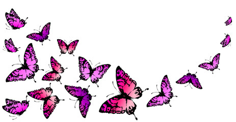 Sticker - butterfly52.