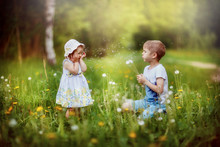 Children Play In The Meadow, Chewing Dandelions, Spring, May, Wild Flowers