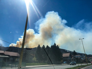 
a large fire from the forest with smoke leaving the atmosphere