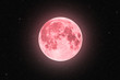 canvas print picture - Pink full super moon glowing with pink halo surrounded by stars on black sky background