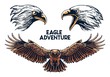 eagle resources illustration