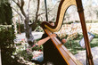 © Aubrey - woman playing a harp at an outdoor wedding