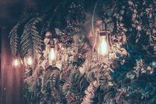 Close-up Of Illuminated Light Bulb Hanging By Plants At Night