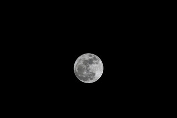 Wall Mural - full moon on black