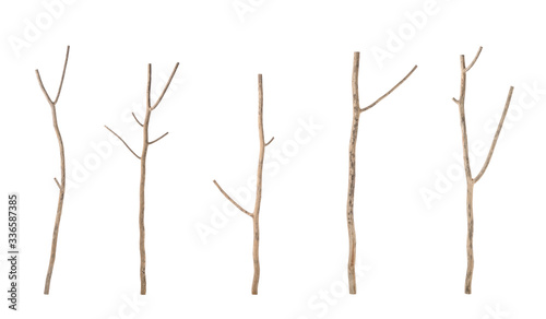 Cuadros en Lienzo Piece of dry tree branch. Studio shoot isolated on white